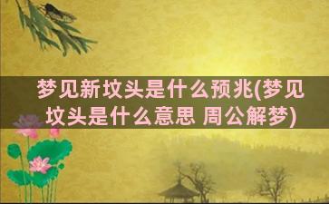 梦见新坟头是什么预兆(梦见坟头是什么意思 周公解梦)